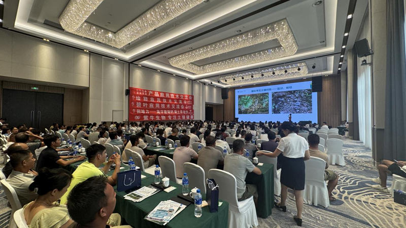 愛普科技在云南元謀推廣土壤大健康技術 助力蔬菜產業提質增效